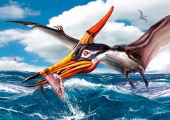 3D-kortti Kalastava Pteranodon