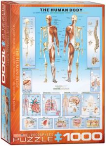 The Human Body, puzzle 1000 palaa