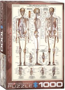 The Skeletal System, puzzle 1000 palaa