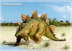 3D-kortti Stegosaurus