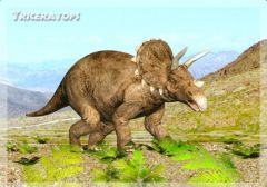 3D-kortti Triceratops